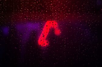 kripto ayi sezonu ne kadar surer6