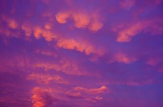 kriptovaljuta cloud2