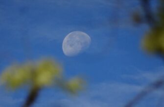 kriptovaljuta moon2