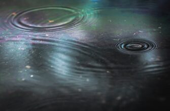 kriptovaljuta ripple kurs3