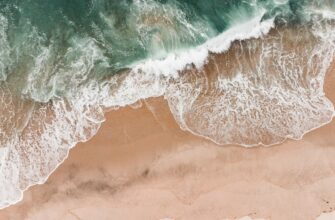 kriptovaljuta waves2