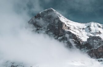 mozhno li kupit bitkoin v telegramme6