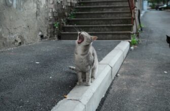 vyvod usdt s binans4