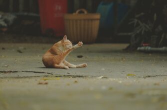 ai kriptovaljuta prognoz3