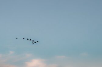 airdrop crypto hunting3