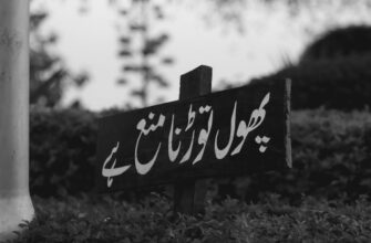 airdrop crypto meaning in urdu5