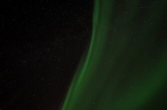 aurora kriptovaljuta prognoz3
