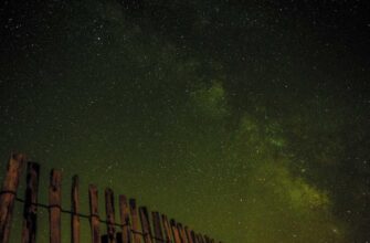 ava kriptovaljuta prognoz3