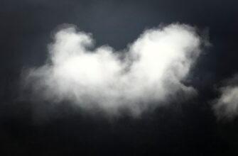 cloud kriptovaljuta prognoz3