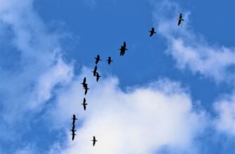 crypto airdrop events3
