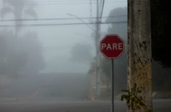 davat v lending cardano na aave bez zamorozki