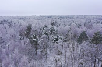 defi zd2