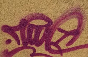 dyor kripto2