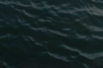 farmit dohod ton na kraken staking