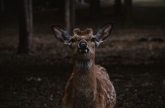 kak hranit metamask v holodnom hranenii poshagovo