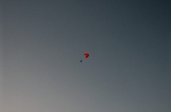 kak platit airdrop dohod v gruzii nalog na pribyl