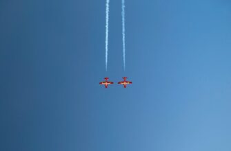 kak sobrat testnet token airdrop bez komissii