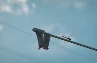 kak sobrat usdt airdrop bez vlozhenij