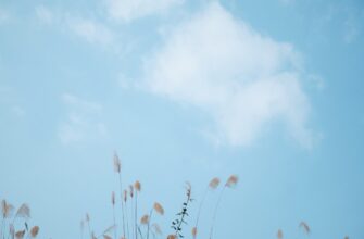 kak uchastvovat sol airdrop dlja novichkov 1