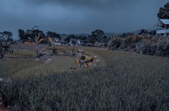 kriptovaljuta alpaca2
