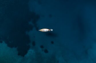 kriptovaljuta black whale3
