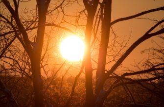 kupit sol za lari bankovskim perevodom v tashkente mgnovenno