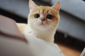 luchshij sposob sdelat rezervnuju kopiju metamask anonichno