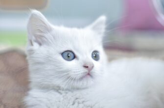 obmenjat btc za juani cherez p2p v almaty