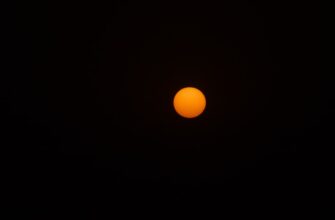 obmenjat sol za rubli nalichnymi v tashkente nizkaja komissija