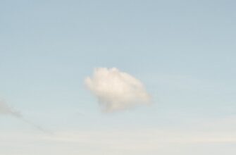 poluchit besplatno usdt airdrop na blast bez komissii