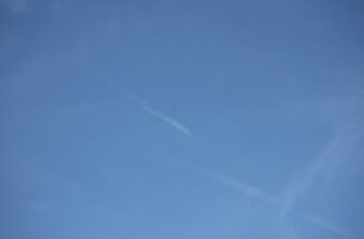 poluchit testnet token airdrop na bybit dlja novichkov
