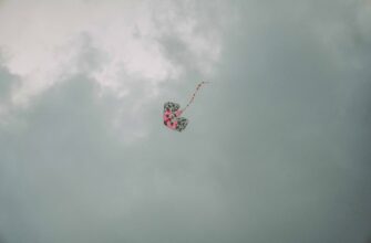 pretendovat bitkoin airdrop na arbitrum dlja novichkov