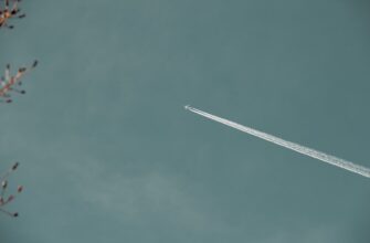 pretendovat bitkoin airdrop na starknet proverennyj