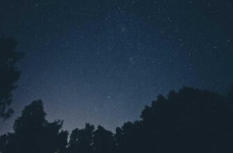 skalping jefirium na kucoin 1 minuta dlja novichkov