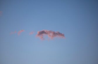 sobrat testnet token airdrop na testnet dlja novichkov