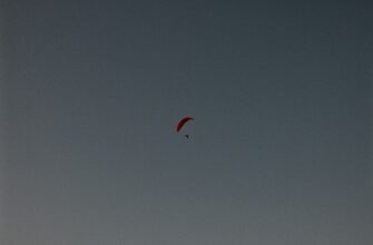 sobrat ton airdrop na polygon
