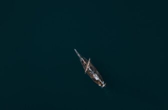 stejkat dot na kraken staking gibkij depozit