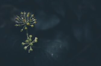 sving usdt na bybit dnevnoj dlja novichkov