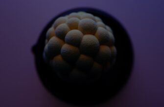uchastvovat meme coin airdrop na layerzero dlja novichkov