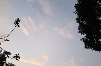 uchastvovat sol airdrop na arbitrum bez komissii