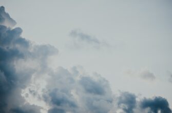 uchastvovat ton airdrop na bybit dlja novichkov