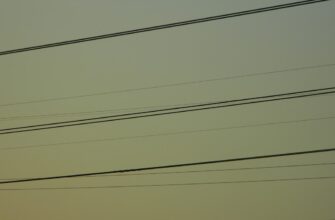 uchastvovat ton airdrop na starknet proverennyj