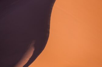 zabrat pepe airdrop na layerzero