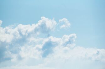 zabrat testnet token airdrop na starknet proverennyj