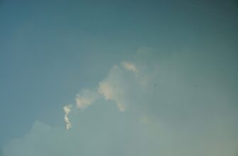 zabrat usdt airdrop na starknet proverennyj