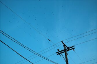 zabrat zk airdrop na bybit bez komissii