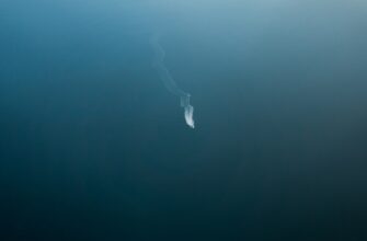 davat v lending ada na kraken staking