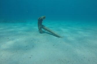 davat v lending ada na kraken staking nizkij risk