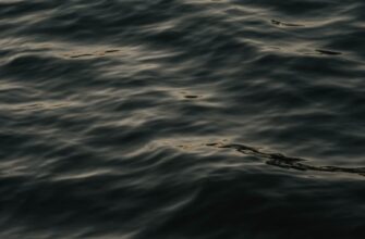 derzhat v pule likvidnosti avax na kraken staking poshagovo