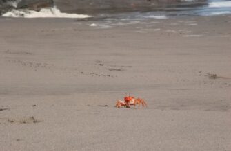 derzhat v pule likvidnosti ton na kraken staking poshagovo